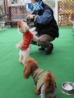 20130420_34.jpg