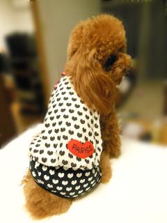 20130420_35.jpg