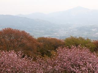 20130423_01.jpg