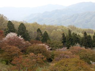 20130423_03.jpg