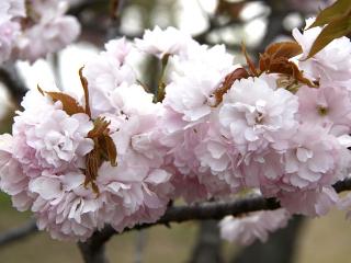 20130423_04.jpg