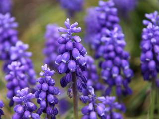 20130423_06.jpg