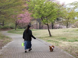 20130423_08.jpg