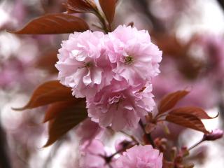 20130423_10.jpg