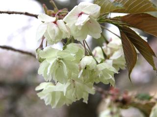 20130423_12.jpg