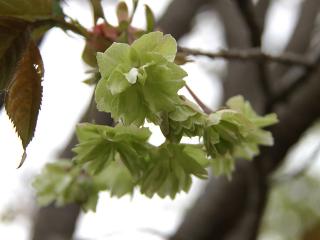 20130423_14.jpg