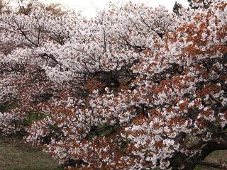 20130423_16.jpg
