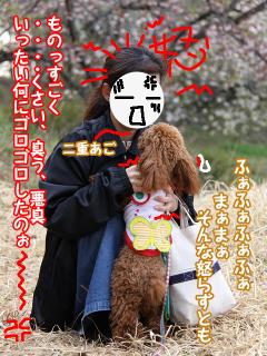 20130423_18.jpg