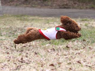20130423_22.jpg