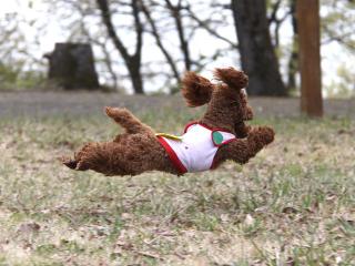 20130423_23.jpg