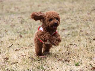 20130423_24.jpg