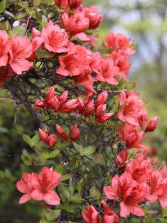 20130423_27.jpg