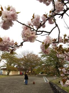 20130423_28.jpg