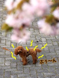 20130423_29.jpg