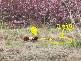 20130423_30.jpg