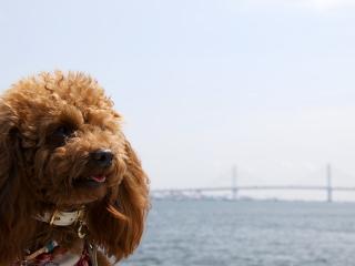 20130423_31.jpg