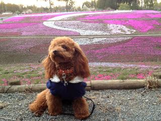 20130423_32.jpg