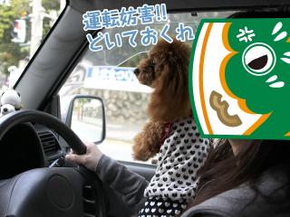 20130426_01.jpg