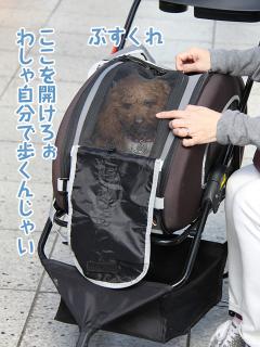20130426_04.jpg