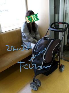 20130426_06.jpg