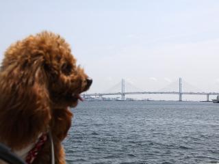20130426_07.jpg
