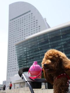 20130426_08.jpg