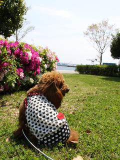 20130426_10.jpg