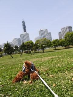 20130426_11.jpg