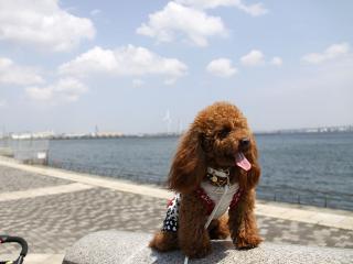 20130426_12.jpg