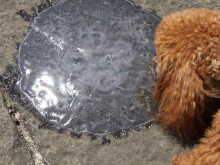 20130426_13.jpg