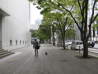 20130426_14.jpg