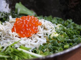 20130426_20.jpg