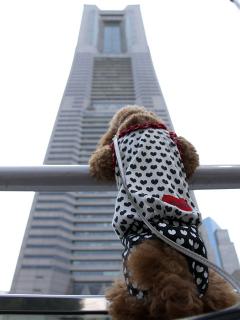 20130426_22.jpg
