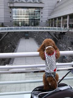 20130426_23.jpg