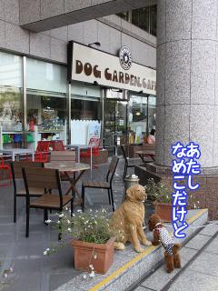 20130426_24.jpg