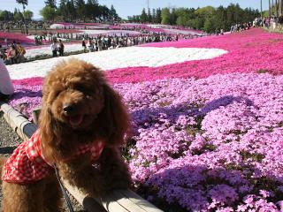 20130426_25.jpg