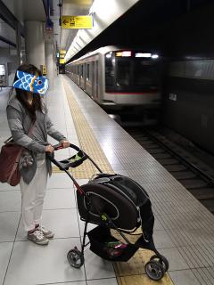 20130426_26.jpg