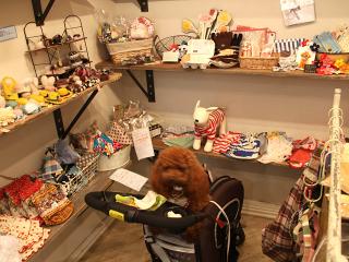 20130426_35.jpg