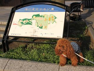 20130426_53.jpg