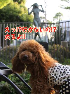 20130426_55.jpg