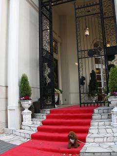 20130426_56.jpg