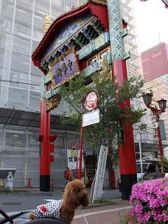 20130426_63.jpg