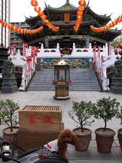 20130426_65.jpg