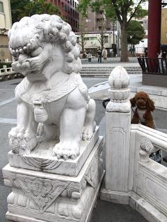 20130426_67.jpg