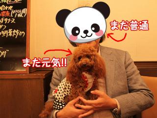 20130426_88.jpg