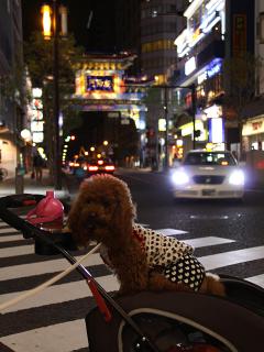 20130426_93.jpg