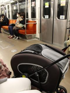 20130426_96.jpg