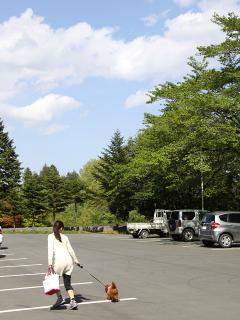 20130427_02.jpg