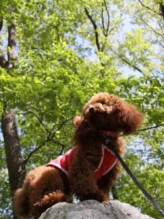 20130427_04.jpg