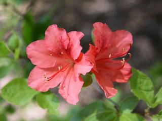20130427_05.jpg